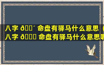 八字 🐴 命盘有驿马什么意思（八字 🐞 命盘有驿马什么意思呢）